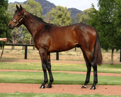 Chilly Reception - photo 1