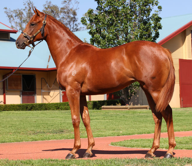 Brilliant Facets (AUS) - photo 1