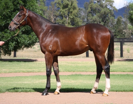 King's Pact - photo 1