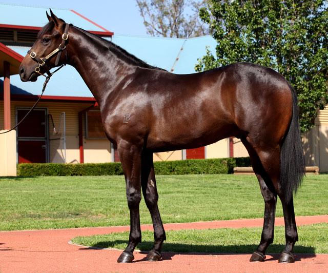 He's A Knockout - photo 1