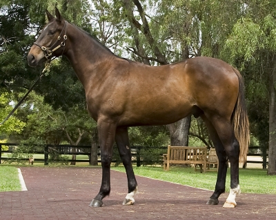 Powersmeup - photo 1