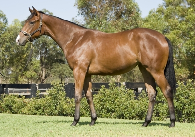 Wild Honey - photo 1