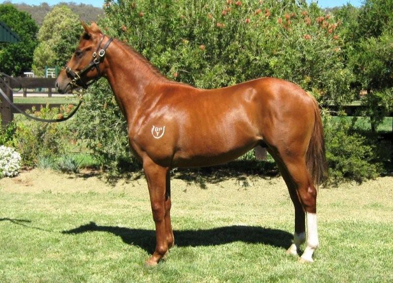 Cereal Killer - photo 1