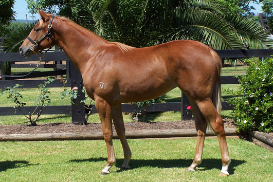 Raring To Go Go - photo 1