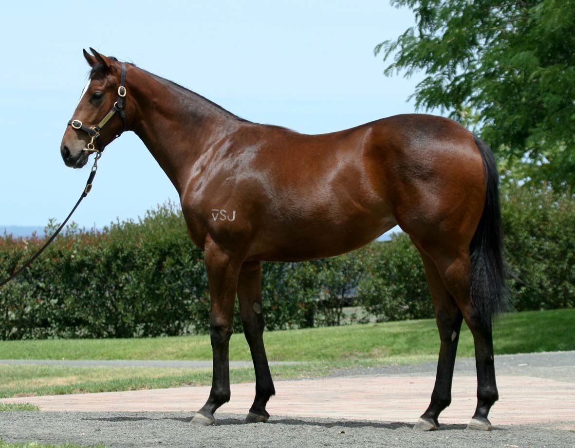 Pym's Lane (AUS) - photo 1