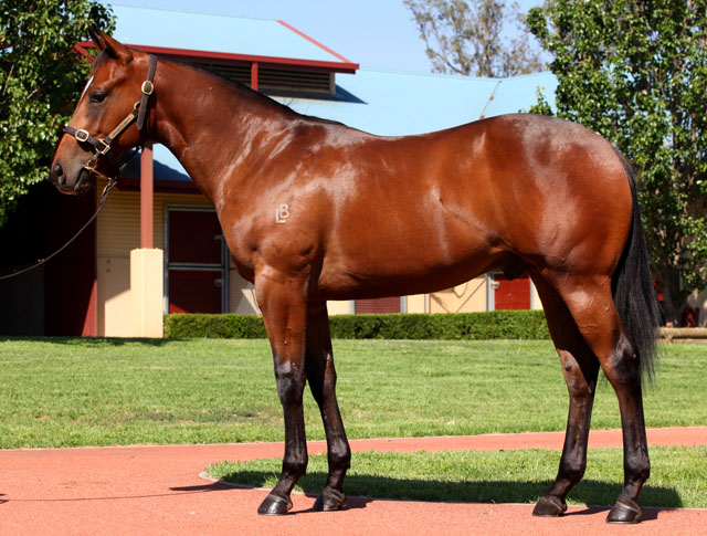 Here De Siren - photo 1