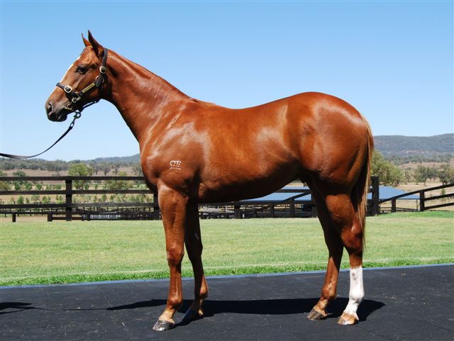 Lieutenant Colonel - photo 1