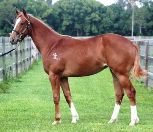 Miss Jackson - photo 1