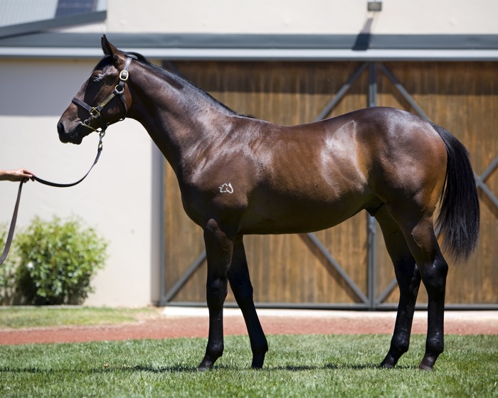 Chieftain Jack - photo 1