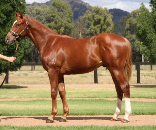 Depot Beach - photo 1