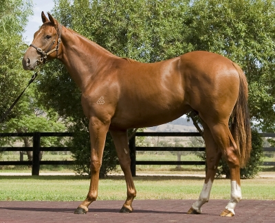 So Sharply - photo 1