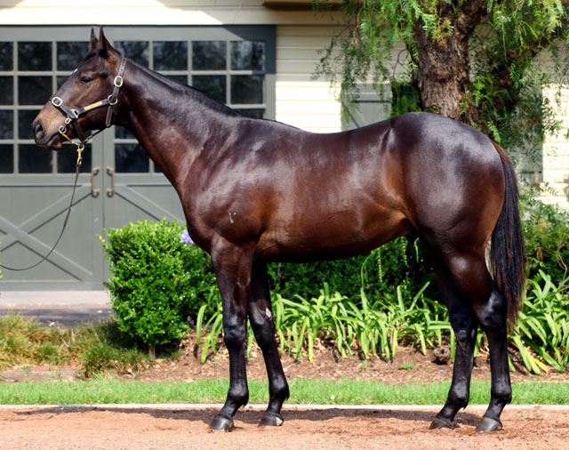 Tales Of Courage - photo 1