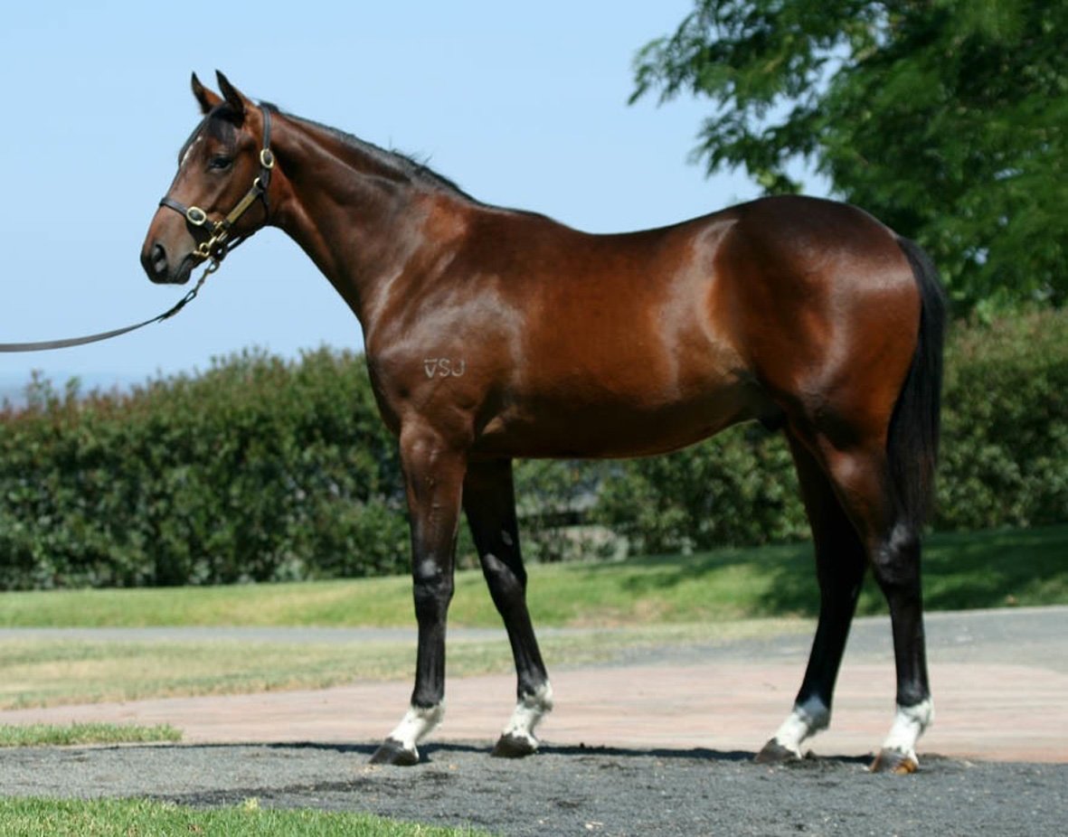 Resort Habit - photo 1