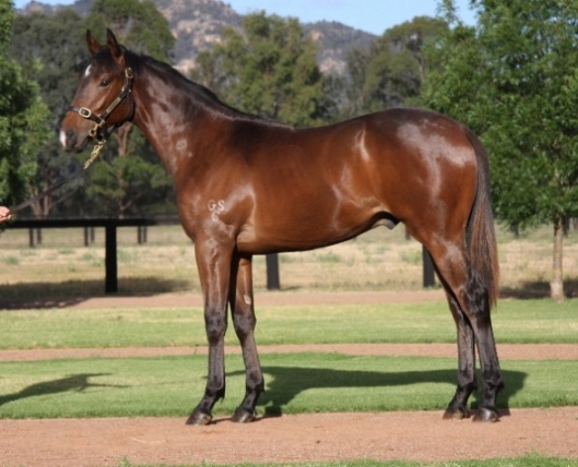 Ninetyfive Rocket - photo 1