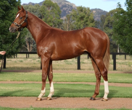 Windsplitter - photo 1