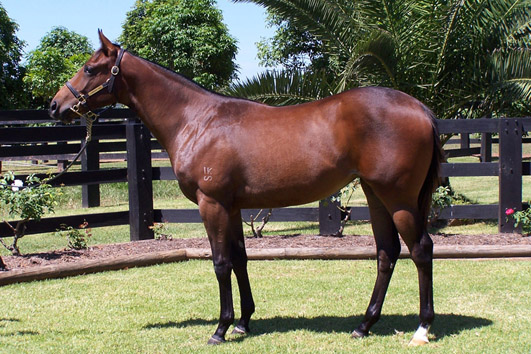 Here De Speaker - photo 1