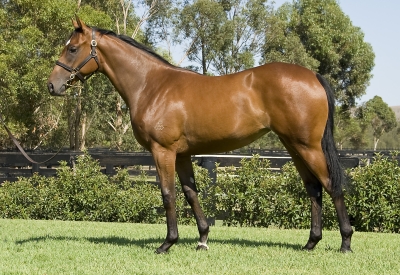 Dark Matter - photo 1