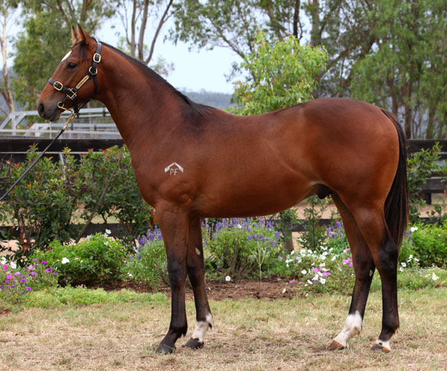 Stage Exit - photo 1