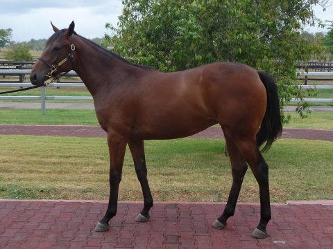 Suite Success - photo 1