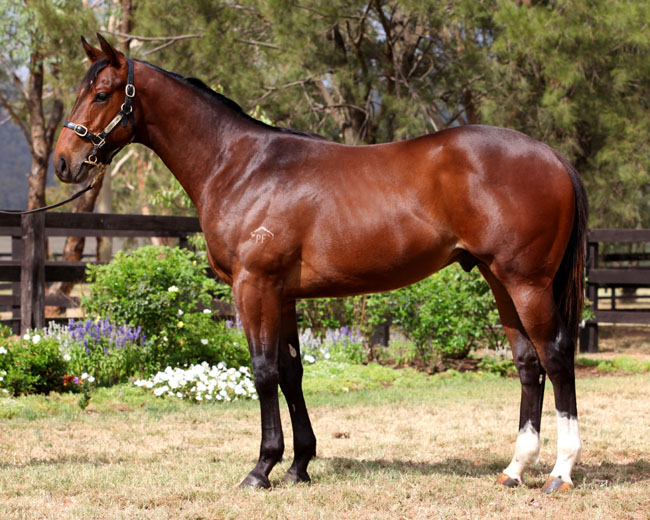 Tennessee Strategy - photo 1