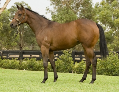 Madison County (AUS) - photo 1