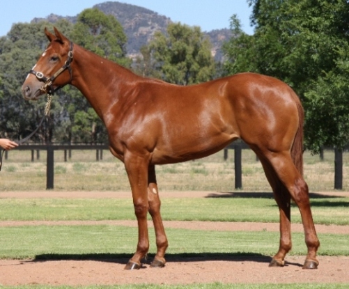 Win For Naara - photo 1