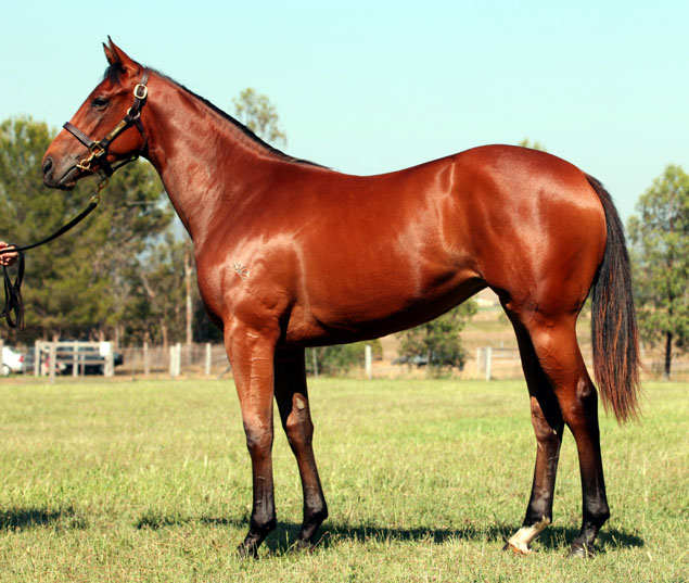 Winged Medusa - photo 1