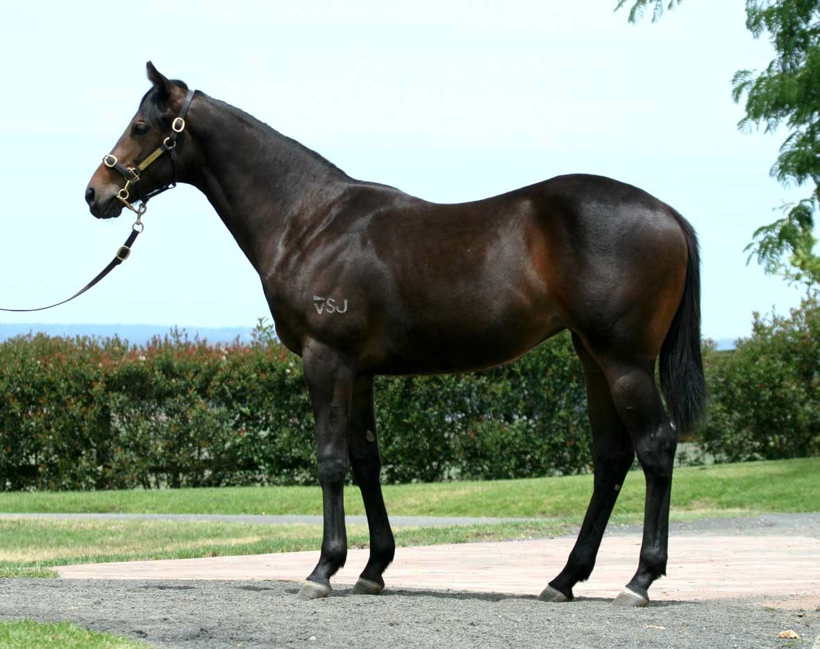 Rock The System - photo 1