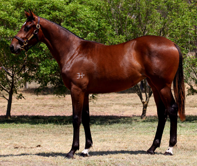 Lysistrata - photo 1