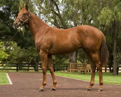 Belinda Kristie - photo 1