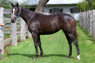 Strike A Pose - photo 1