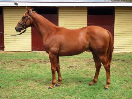 Short Bar One - photo 1