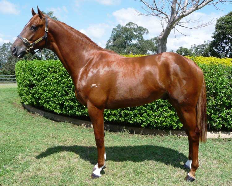 Sylvan Memories - photo 1