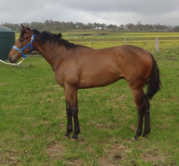 Orbiting Spirit - photo 1