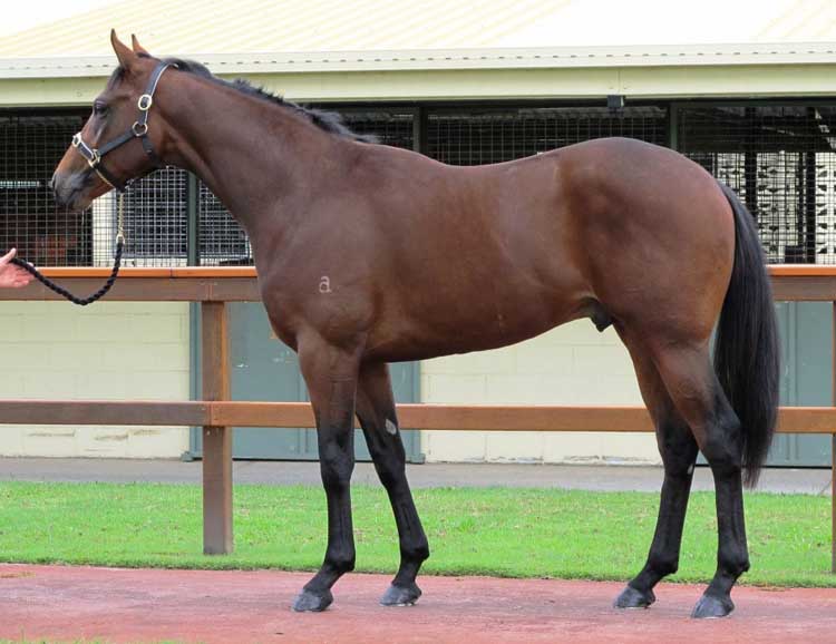 Let Me Dance - photo 1