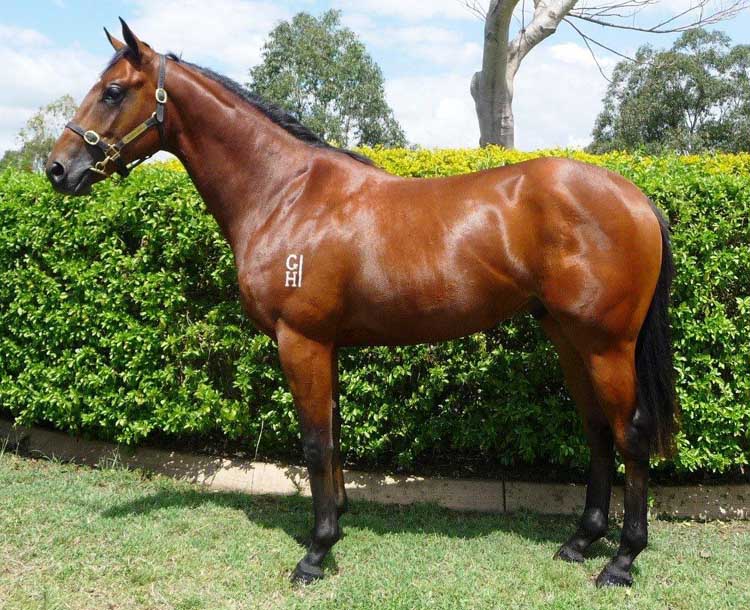 Harvey's Loss - photo 1