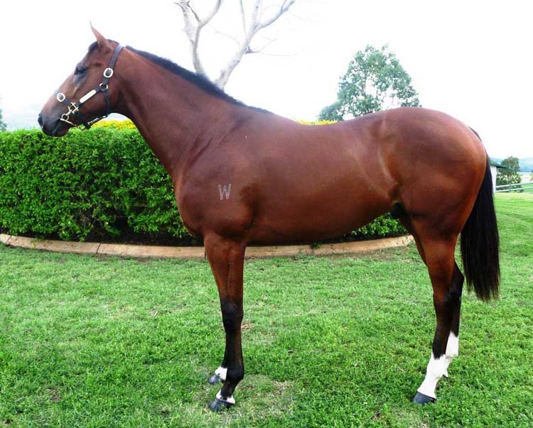 Museeon Hangbeop - photo 1