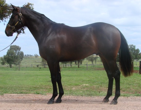 You Got Me Rocking - photo 1