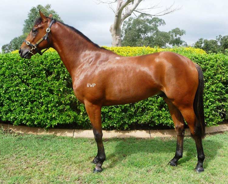 The Tyrant - photo 1