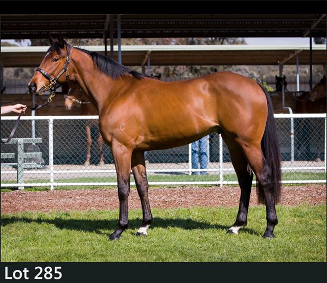 Toga Party - photo 1