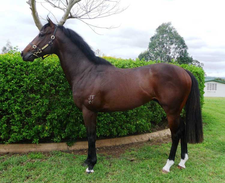 Twice As Lucky - photo 1