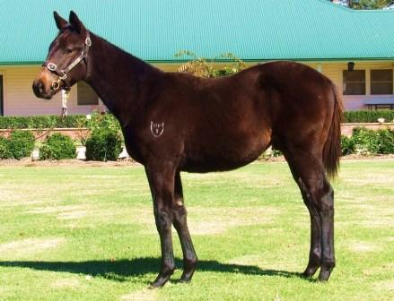 Travel Smart - photo 1