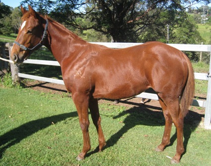 Dadsaidjetta - photo 1