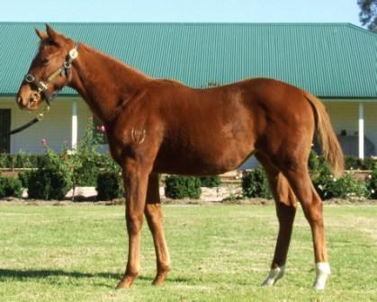 Dad's Girl (AUS) - photo 1