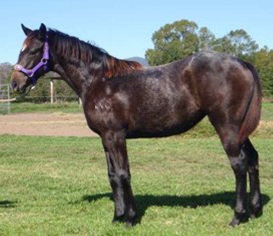 Change Channels - photo 1