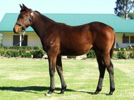 Oratorio (IRE) / Drivetime (AUS) - photo 1