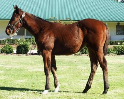 Crookhaven - photo 1