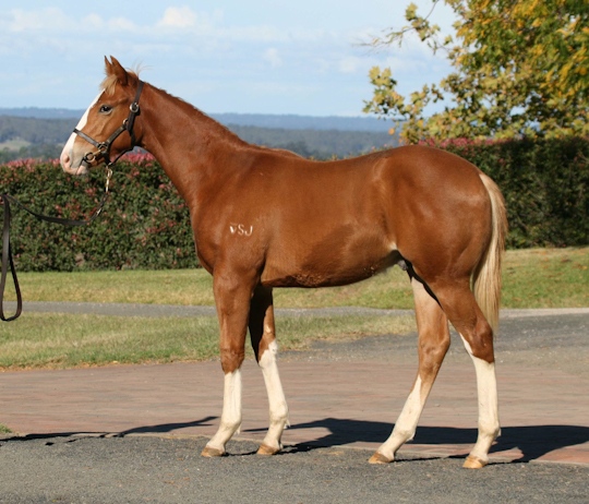 Desiderata - photo 1