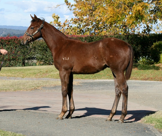 Chosen Moment - photo 1