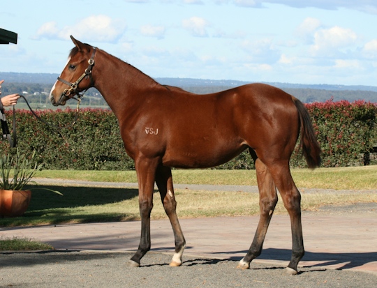 Tahlia Jay - photo 1